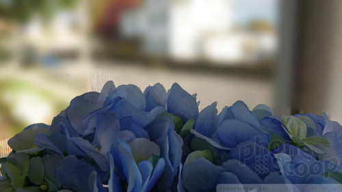 Bokeh